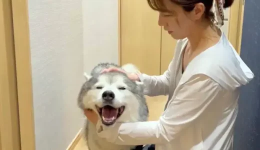 プピプピ文太の中西ひな子の素顔と経歴を完全解説！
