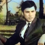 山口崇の実家の歴史！淡路島の旧家と家族の芸を育んだ暮らしとは？